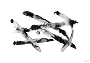 Giclée print of an abstract painting with chinese black ink, Ilford cotton textured paper, sizes A5, A4, A3, A2, A1, painting by Marijke Ali, t-fins