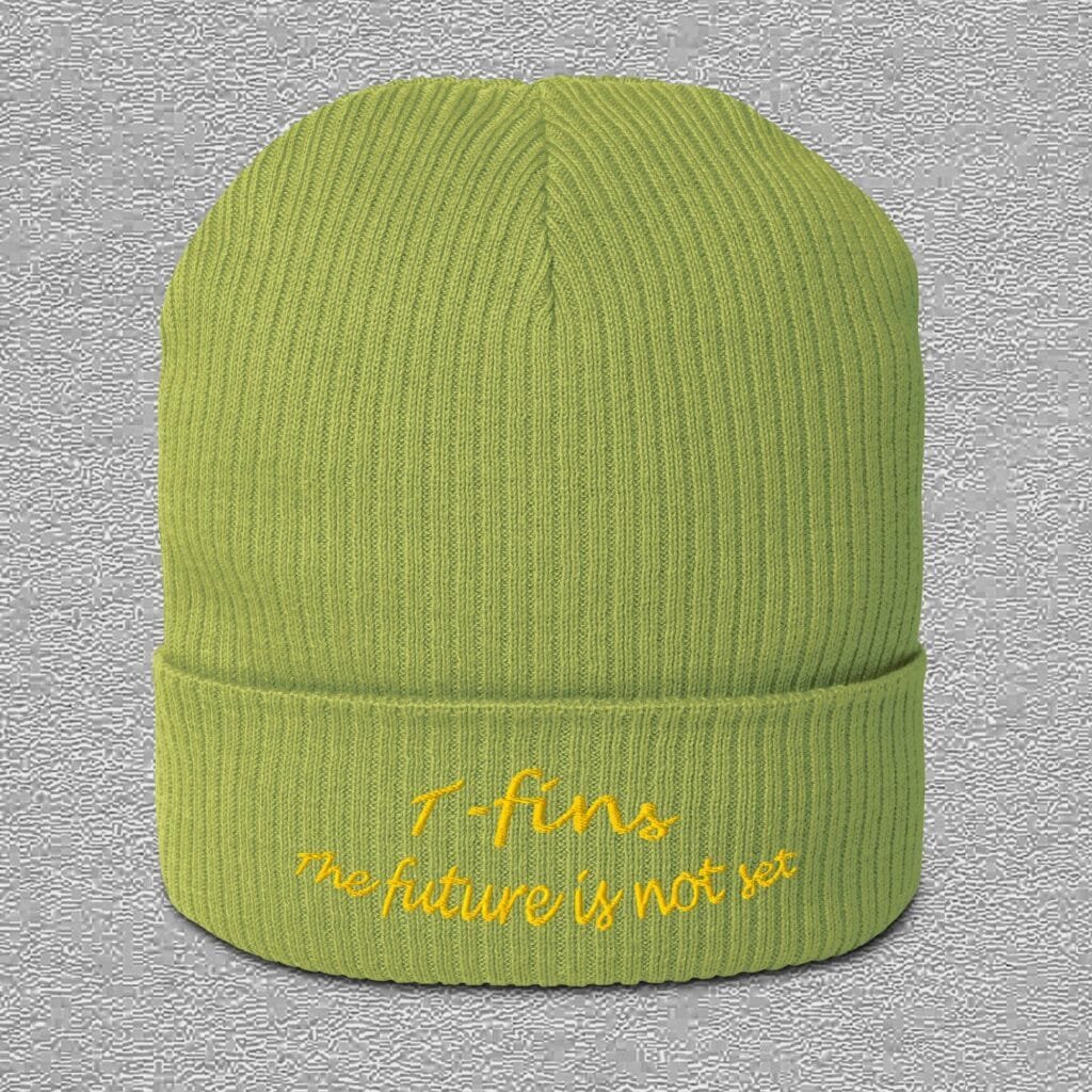 leaf green beanie with the future is not set embroidery