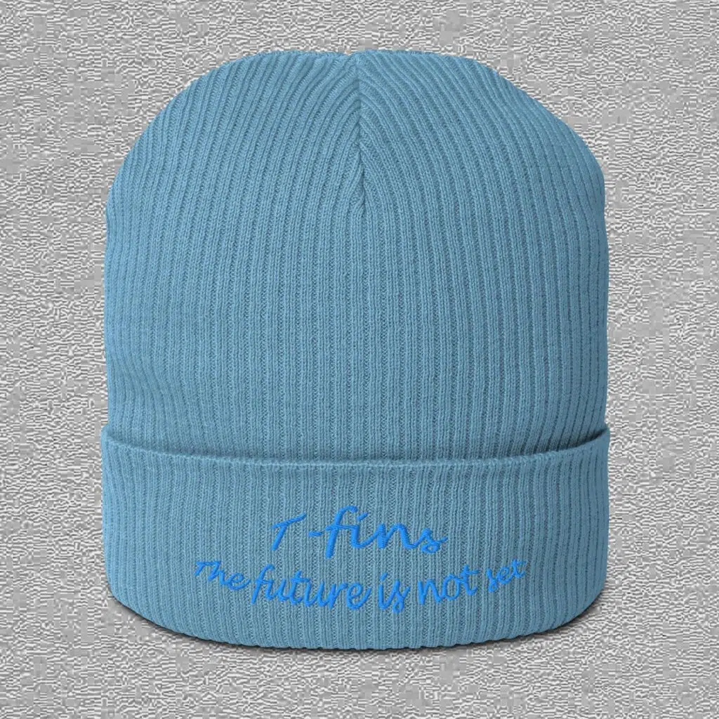 A light avio blue beanie with the future is not set embroidery, with certified eco label by T-fins